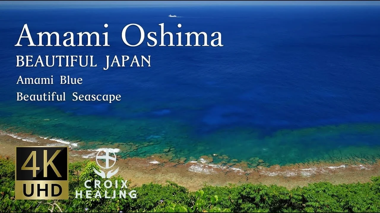 Đảo Amami Oshima Amami Oshima Island