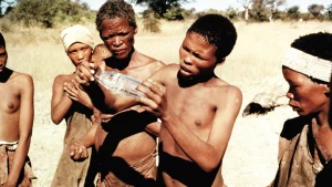 Đến Thượng Đế Cũng Phải Cười 3 The Gods Must Be Crazy: Crazy Safari