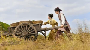 Điền Canh Kỷ Romance On The Farm