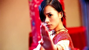 Gia Đình Tinh Võ House Of Fury