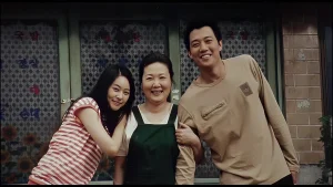 Hoa Hướng Dương Sunflower