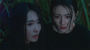 Hoang Nhan (Gương Mặt Dối Trá) Under The Surface