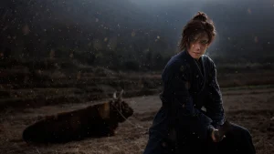 Lệnh Truy Nã Giang Hồ Wanted