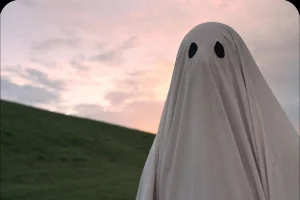 Lưu Trai Tân Truyện – Họa Bì GHOST STORY