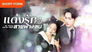 Thất Bại Trong Buổi Xem Mắt Tôi Kéo Tổng Tài Đi Kết Hôn Chớp Nhoáng Mr. Wrong And Mr. Right