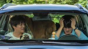 Tìm Nhà Cho Boss My Heart Puppy