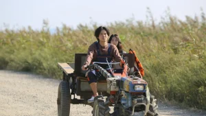 Xe Mui Trần Cabriolet