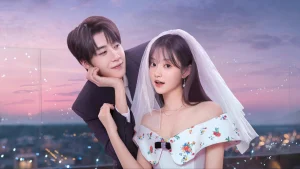 Xin Hãy Kết Hôn Với Tôi Lần Nữa Marry Me Again